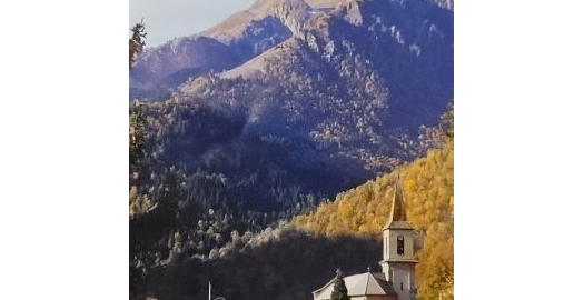 image article